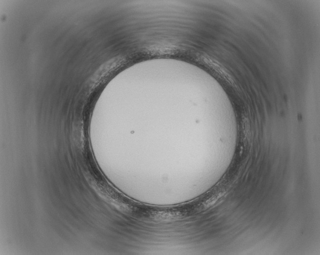 X0000078230494200611251217