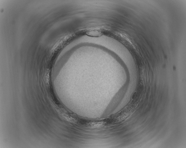 X0000078230495200611251217