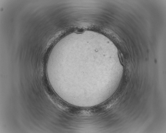 X0000078230496200611251217