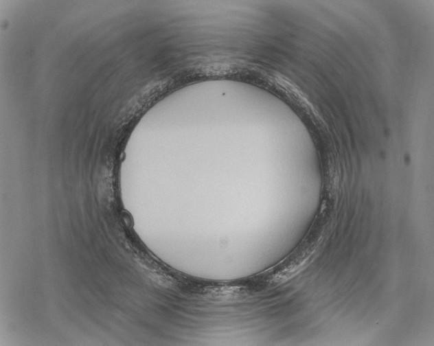 X0000078230497200611251217