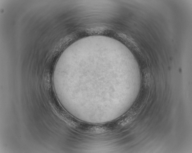 X0000078230498200611251217