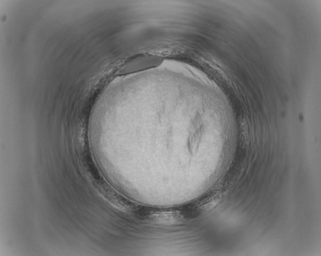 X0000078230499200611251217