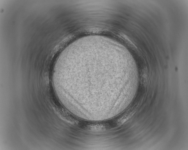 X0000078230500200611251217