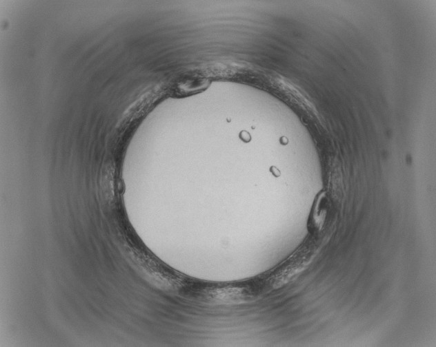 X0000078230501200611251217