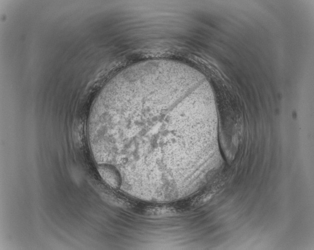 X0000078230503200611251217