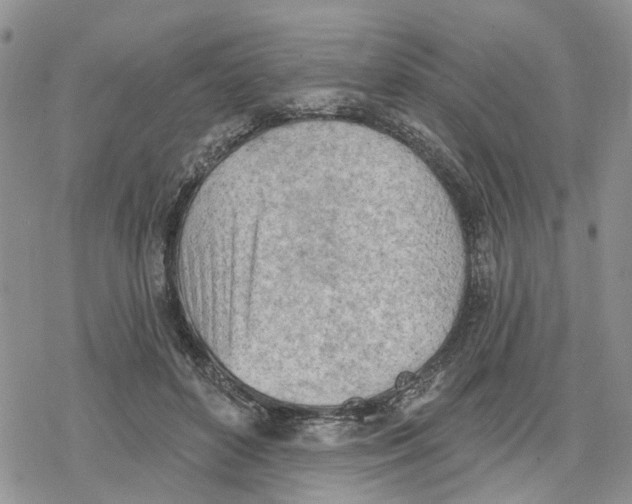 X0000078230504200611251217