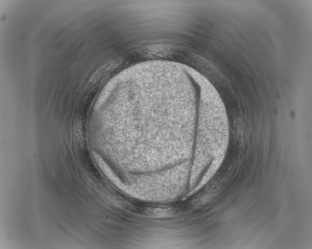 X0000078230506200611251217