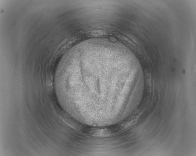 X0000078230507200611251217