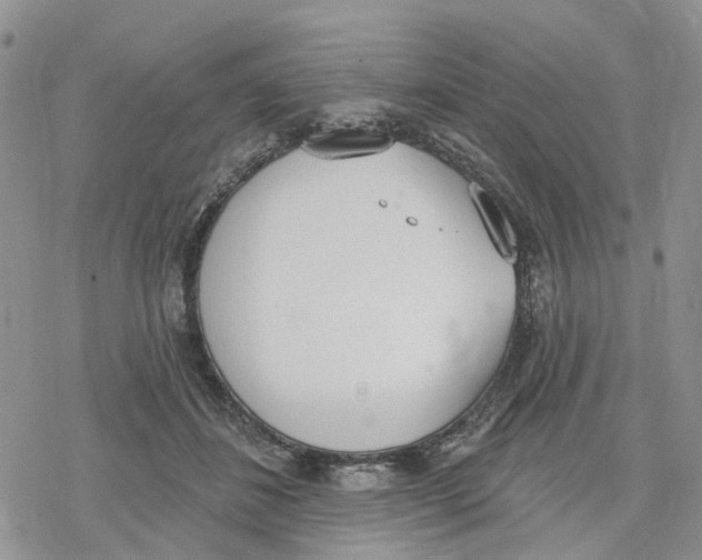 X0000078230508200611251217