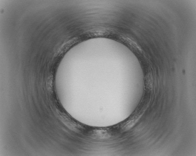 X0000078230509200611251217