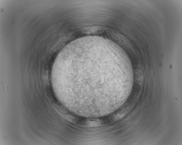 X0000078230510200611251217