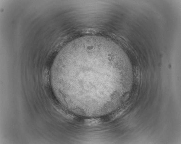 X0000078230511200611251217