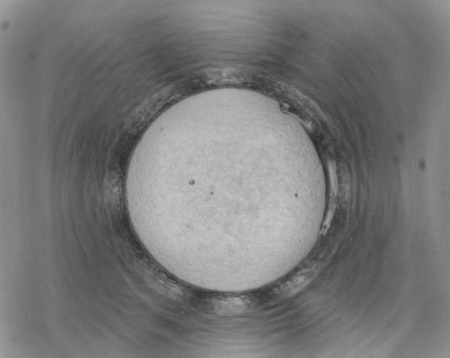 X0000078230513200611251217