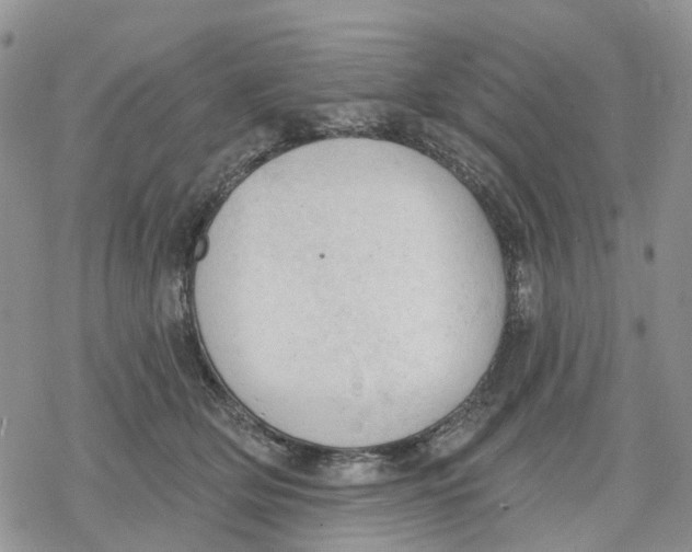 X0000078230514200611251217