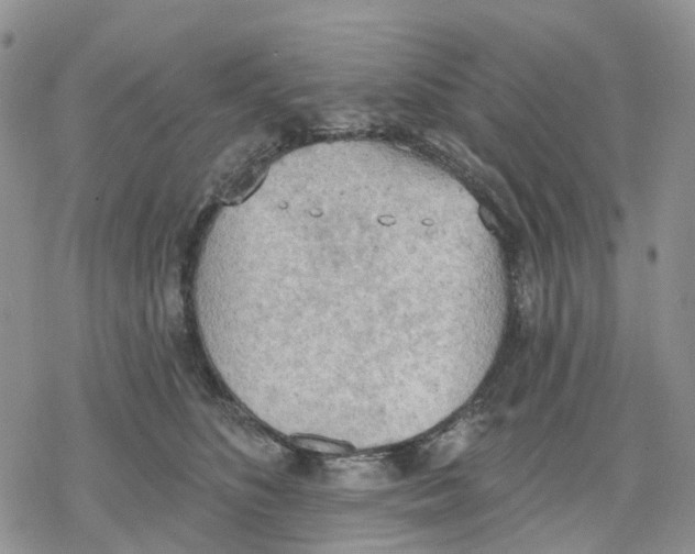 X0000078230516200611251217