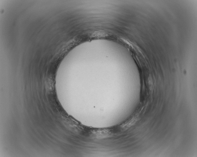 X0000078230517200611251217