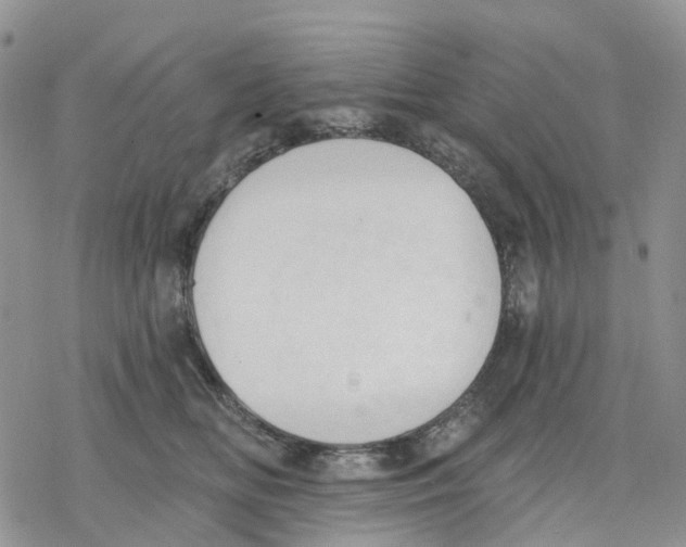 X0000078230518200611251217