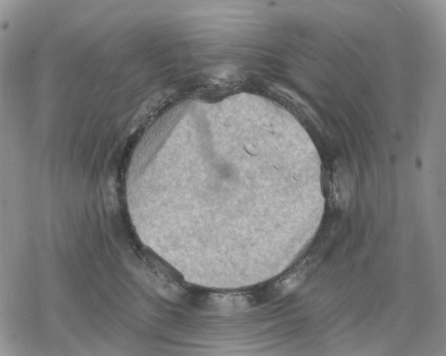 X0000078230520200611251217