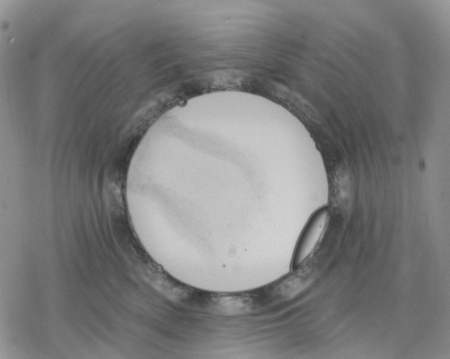 X0000078230522200611251217