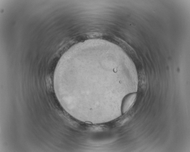 X0000078230523200611251217