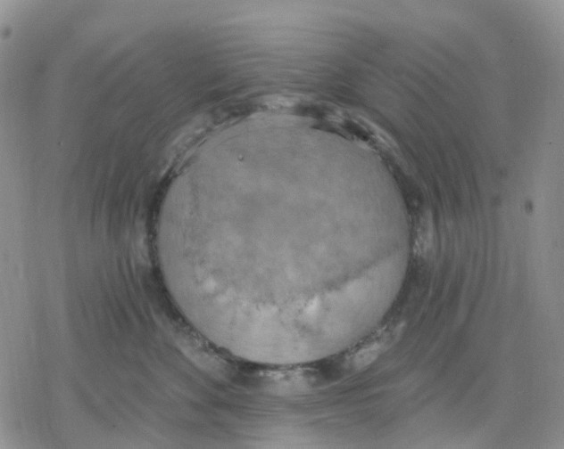 X0000078230524200611251217