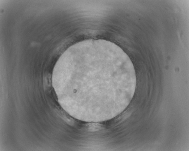 X0000078230528200611251217