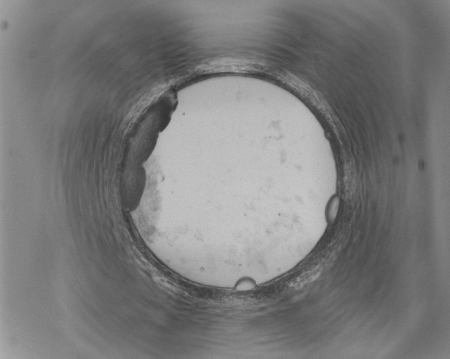 X0000078230529200611251216