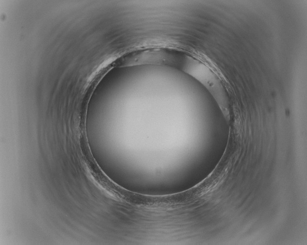 X0000078230530200611251216