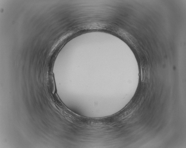 X0000078230531200611251216