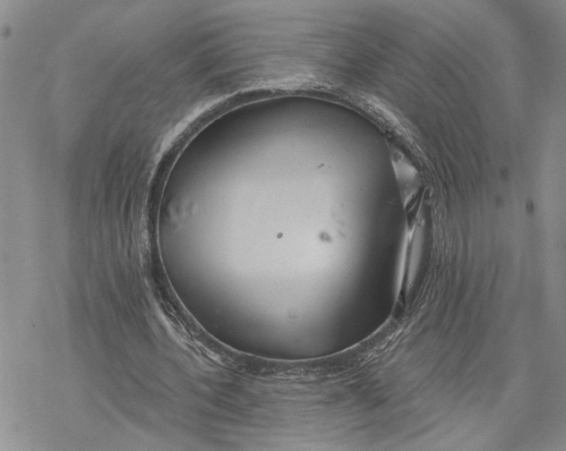 X0000078230532200611251216