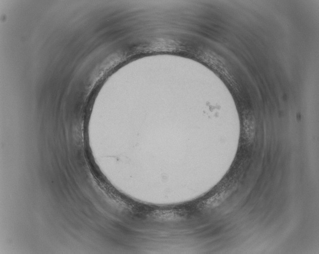 X0000078230534200611251216