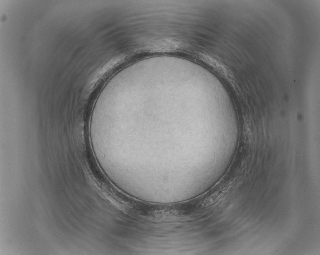 X0000078230535200611251216