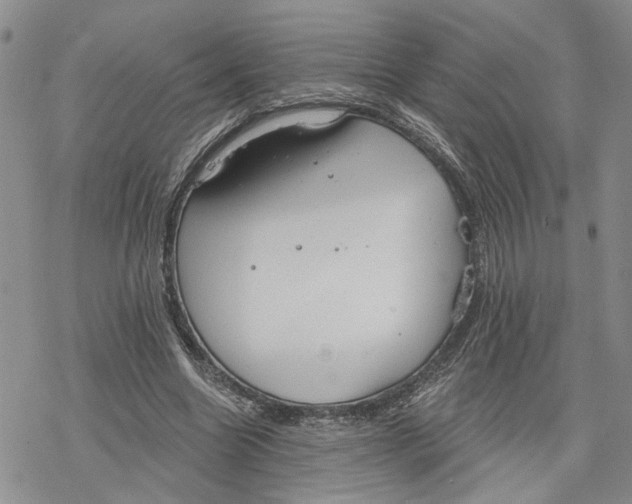 X0000078230538200611251216