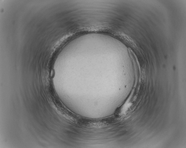 X0000078230540200611251216