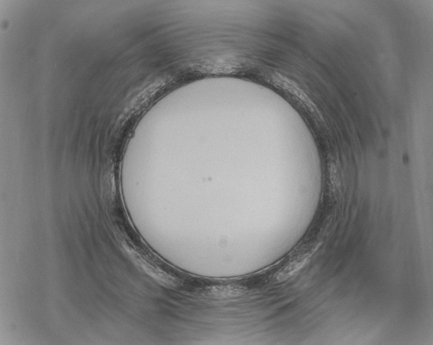 X0000078230541200611251216