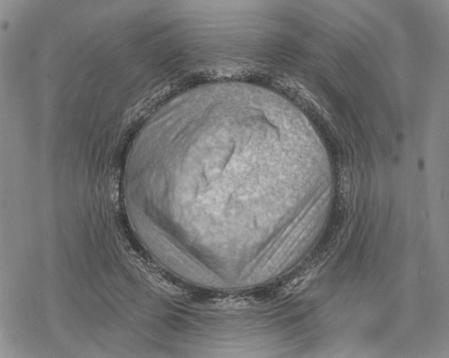 X0000078230545200611251216