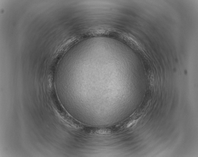 X0000078230546200611251216