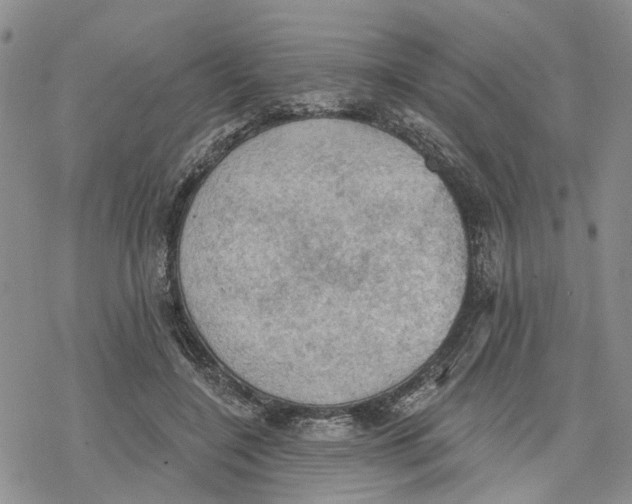 X0000078230548200611251216