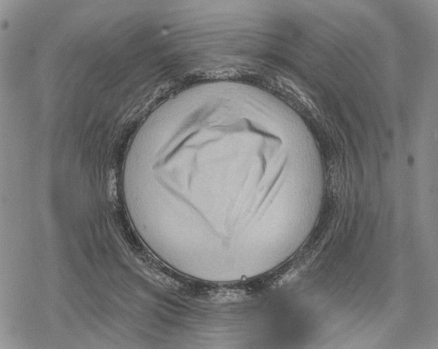 X0000078230549200611251216