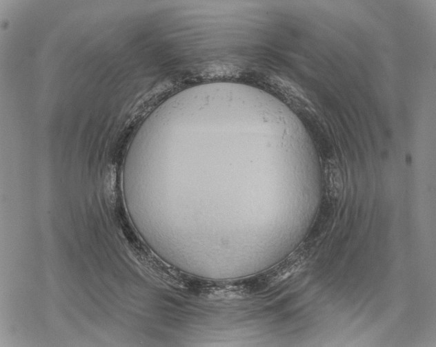 X0000078230550200611251216