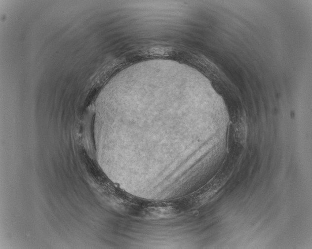 X0000078230552200611251217