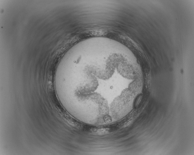 X0000078230553200611251217