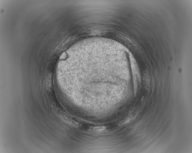 X0000078230554200611251217