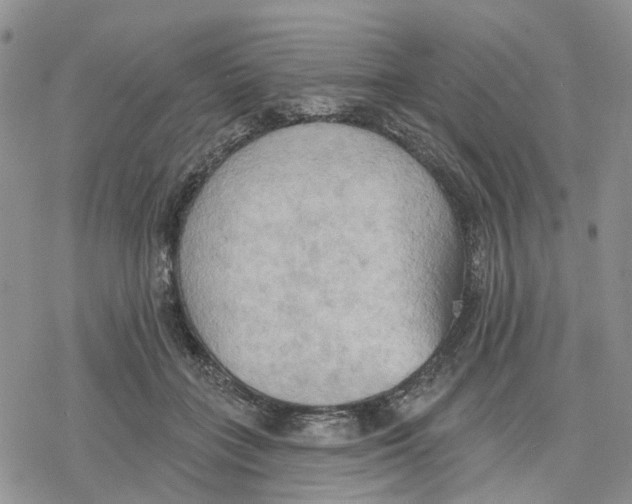 X0000078230555200611251217