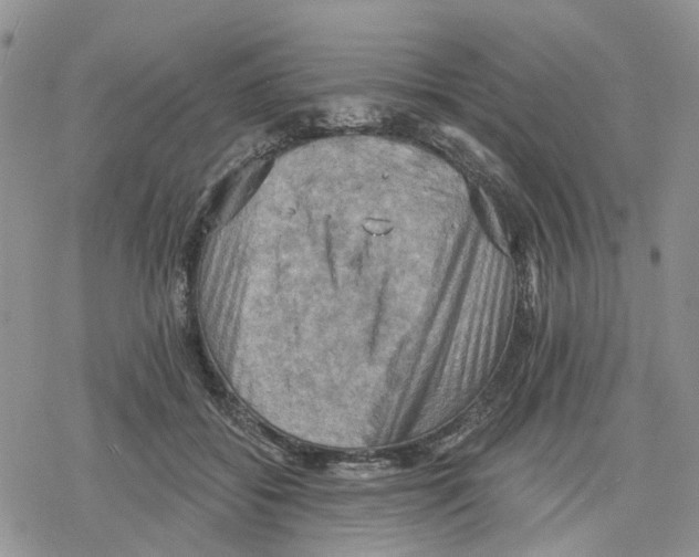 X0000078230556200611251217