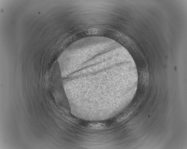 X0000078230557200611251217