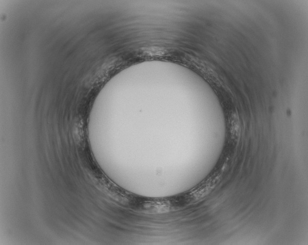 X0000078230559200611251217