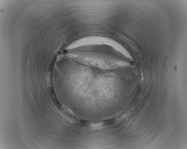 X0000078230560200611251217