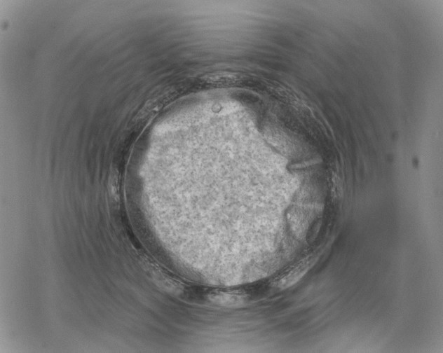 X0000078230561200611251217