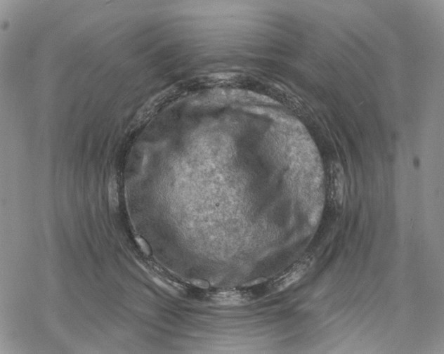 X0000078230562200611251217